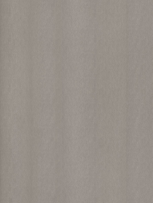 Cover Styl NE51 Champagne Silver