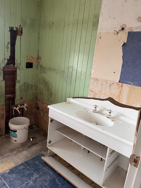 DumaWall Ensuite Transformation