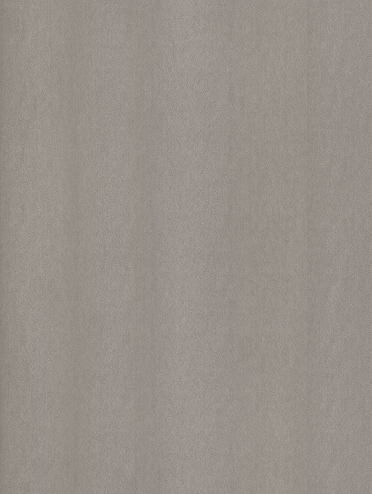 Cover Styl NE51 Champagne Silver