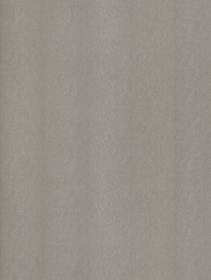Cover Styl NE51 Champagne Silver